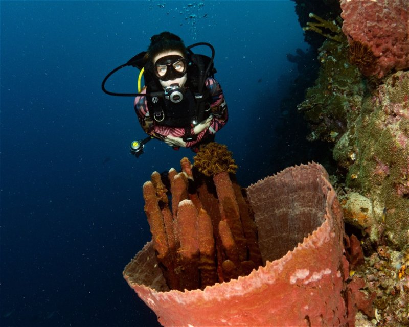 Divesite Image