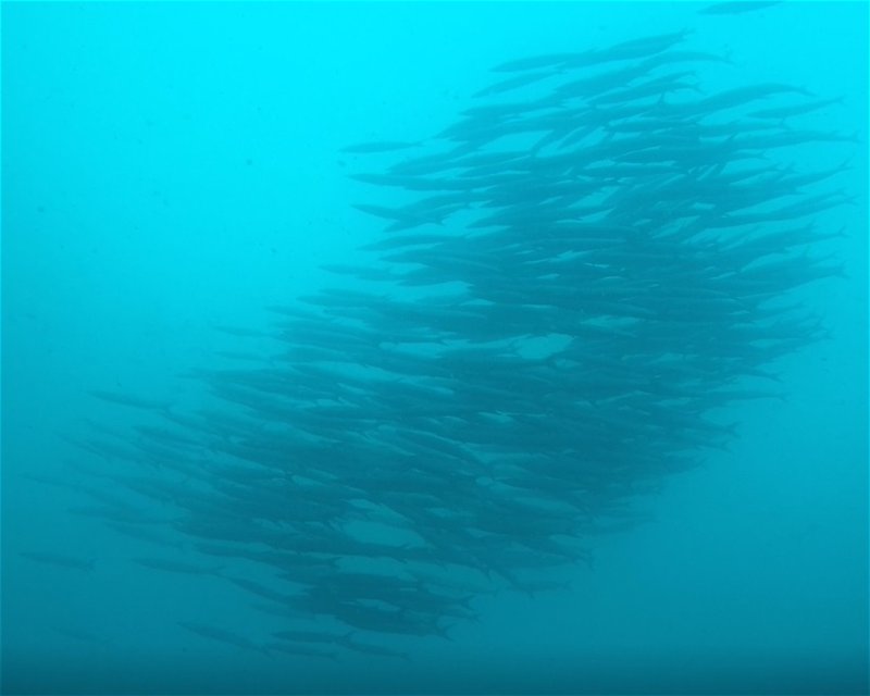 Divesite Image