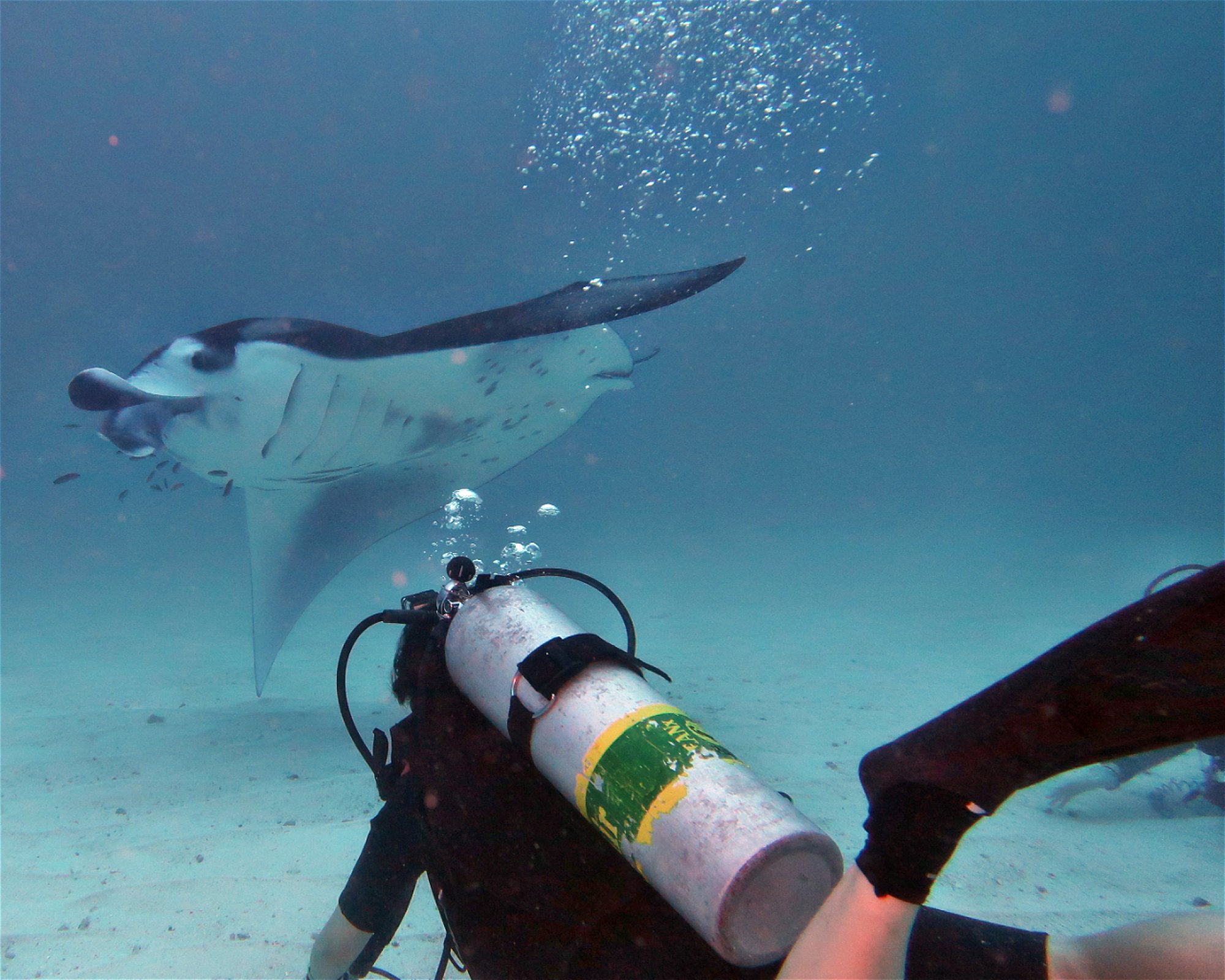 DivePoint Meedhupparu, 960 Meedhupparu