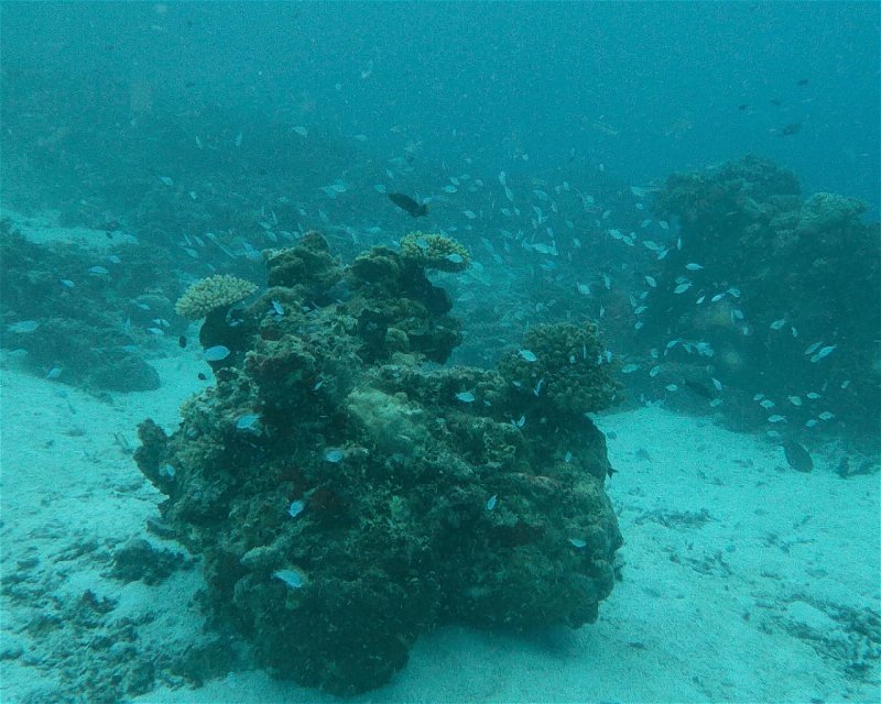 Divesite Image