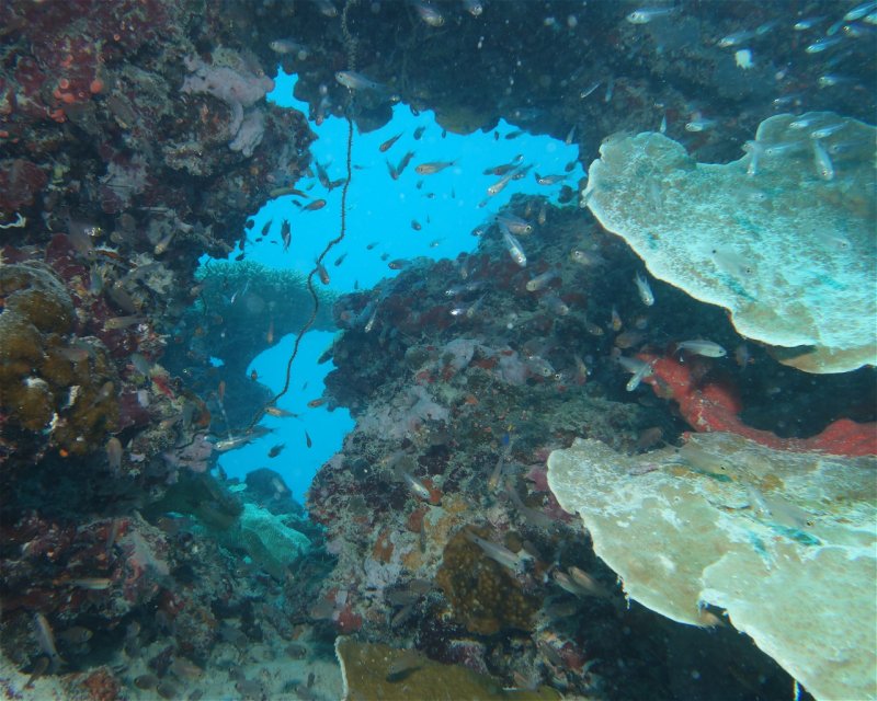 Divesite Image