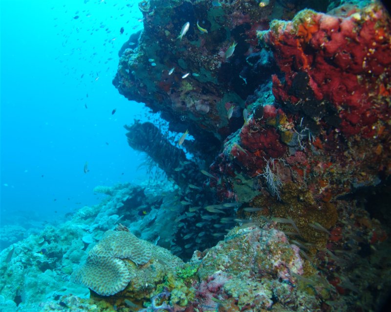 Divesite Image