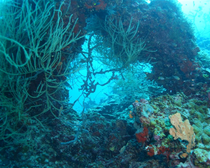 Divesite Image