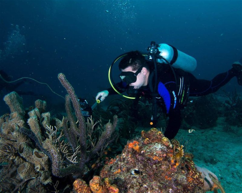 Divesite Image