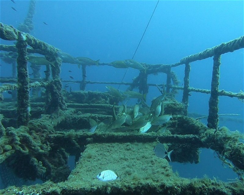 Divesite Image