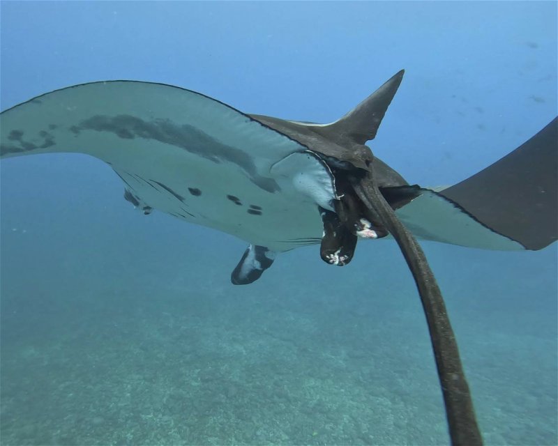 Divesite Image