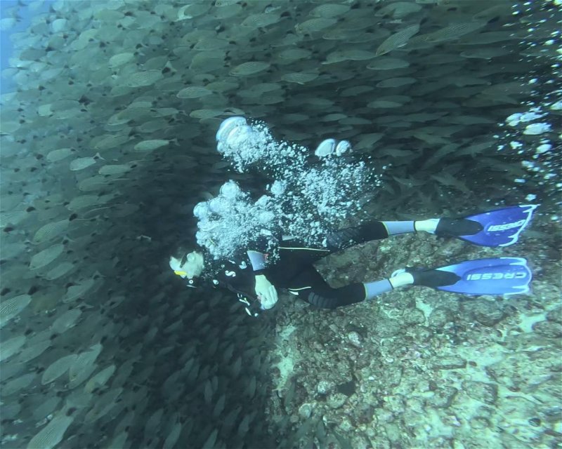 Divesite Image