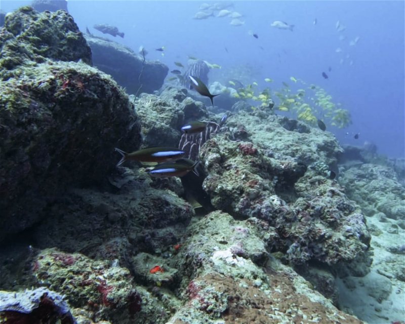 Divesite Image