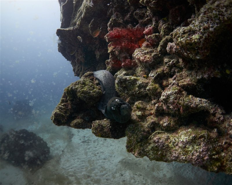 Divesite Image