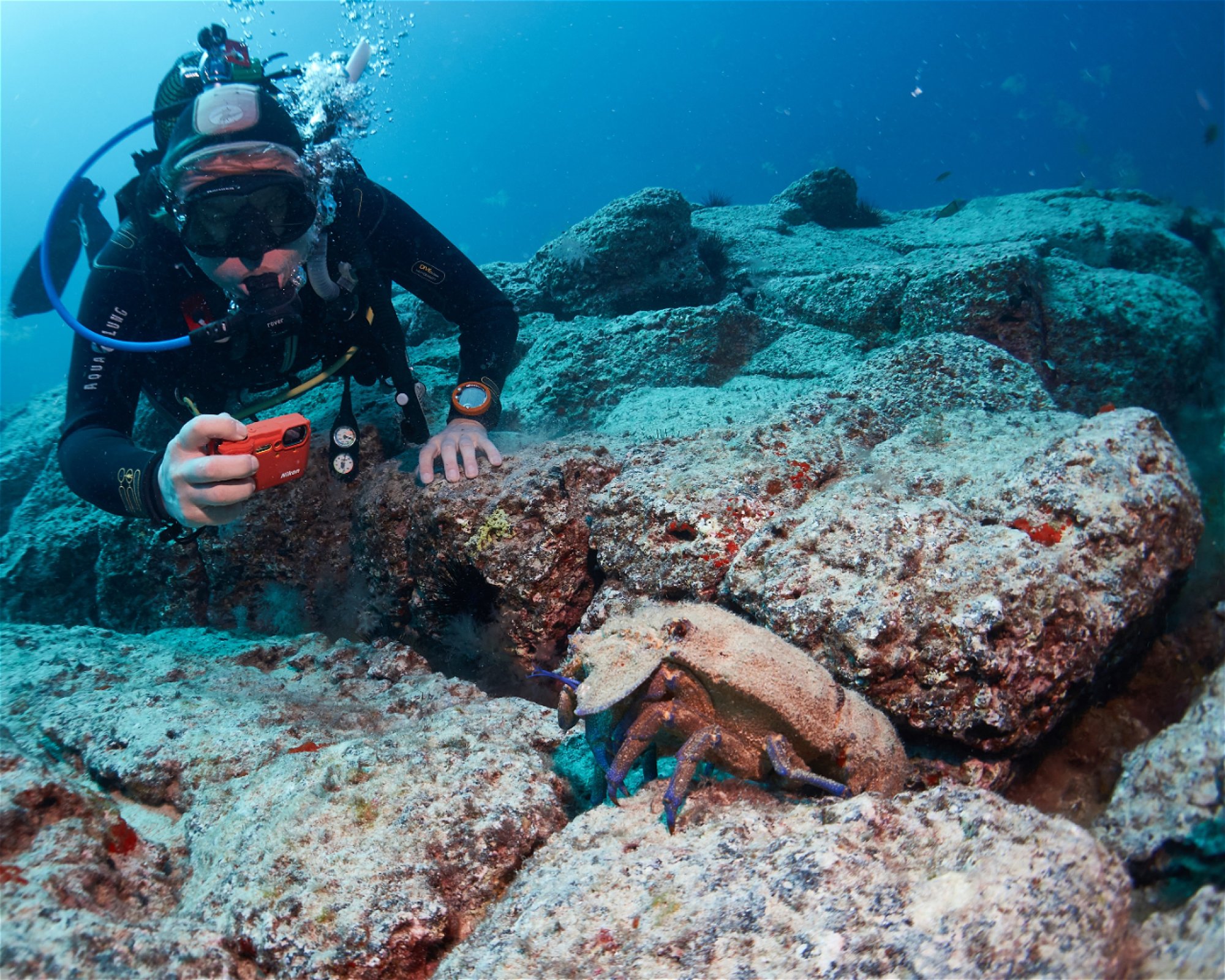 Punta Amanay SL, 35660 Fuerteventura, Corralejo
