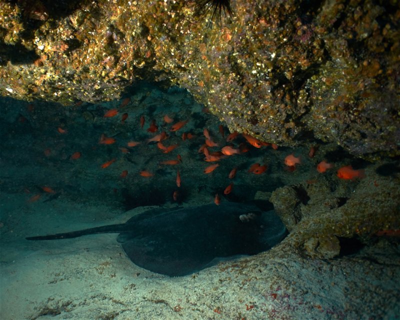 Divesite Image