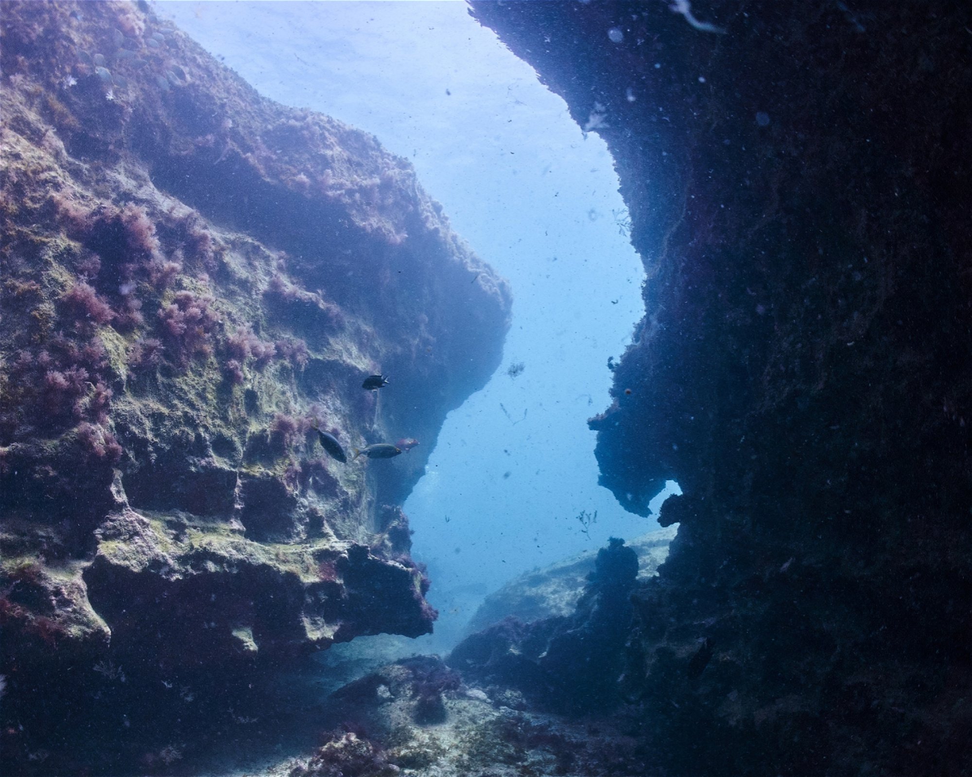 Punta Amanay SL, 35660 Fuerteventura, Corralejo