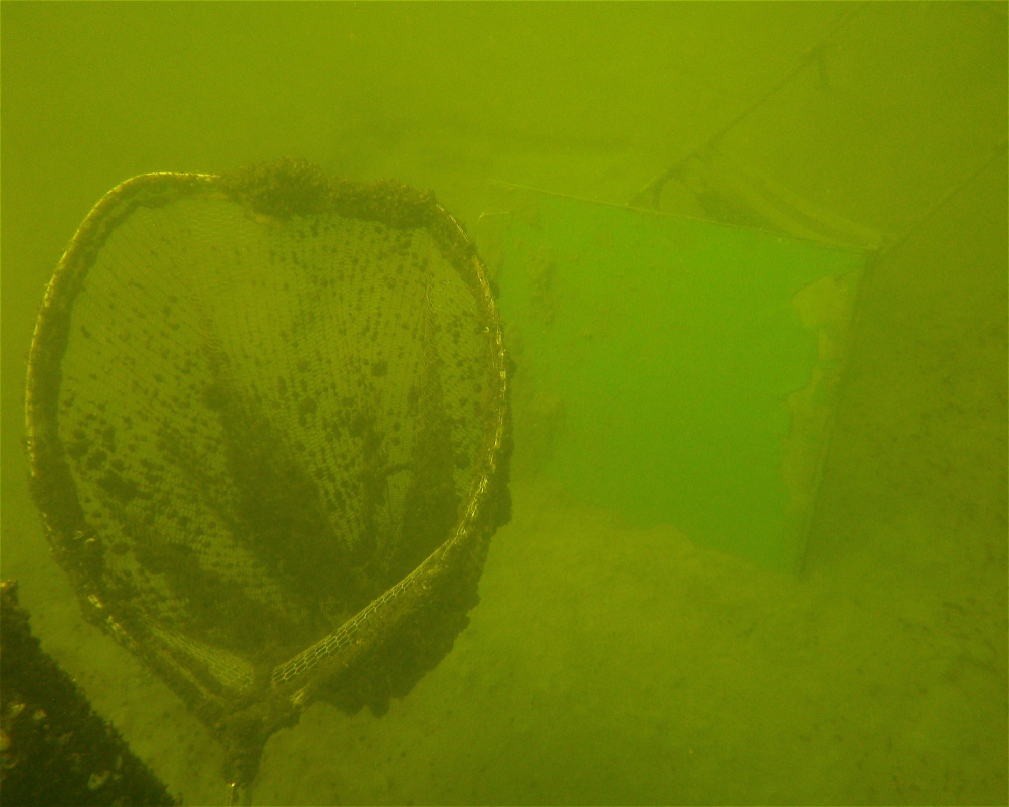 5 Sea Dive Center, 9026 Gyor