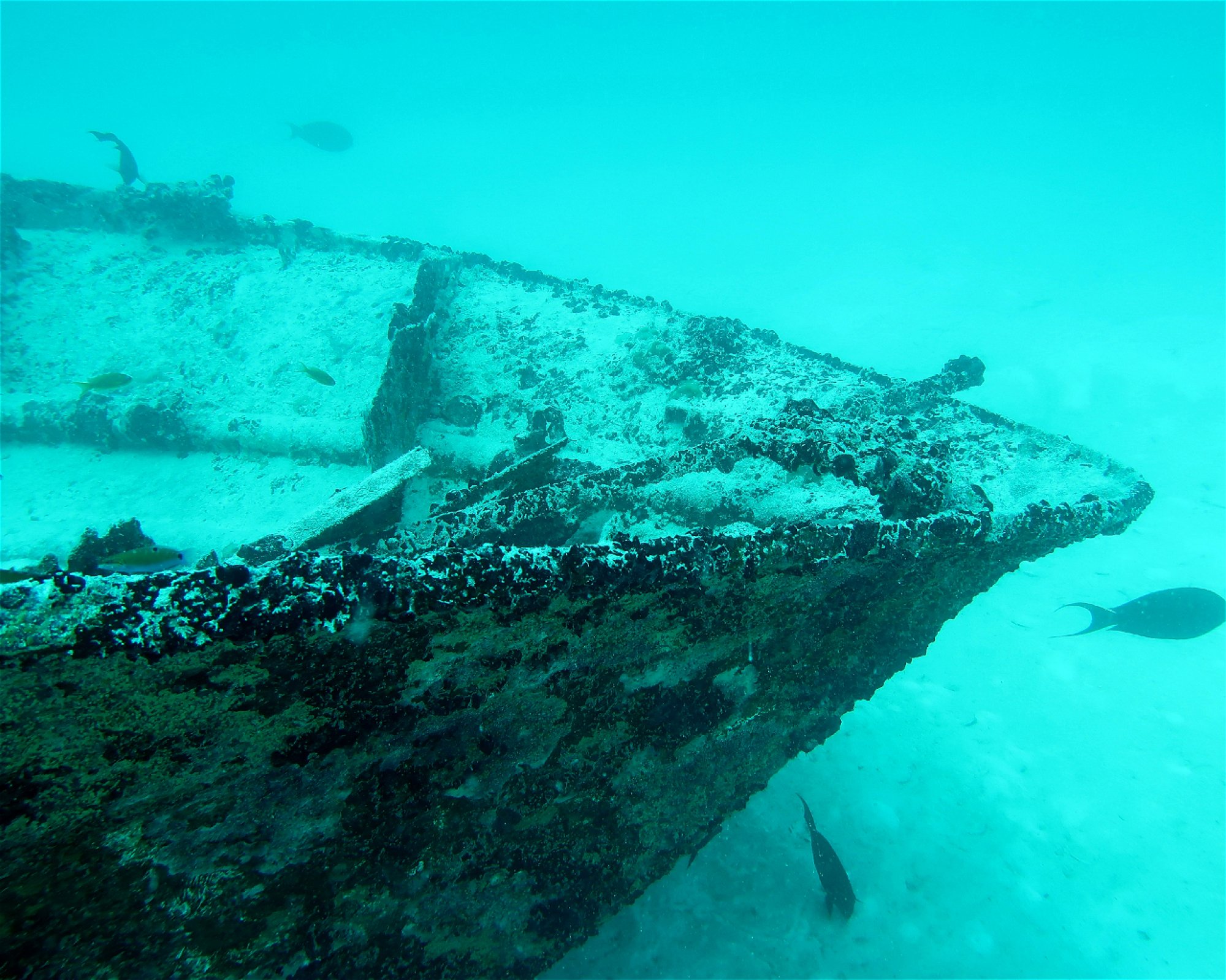 DivePoint Hudhuran Fushi, 20193 Male