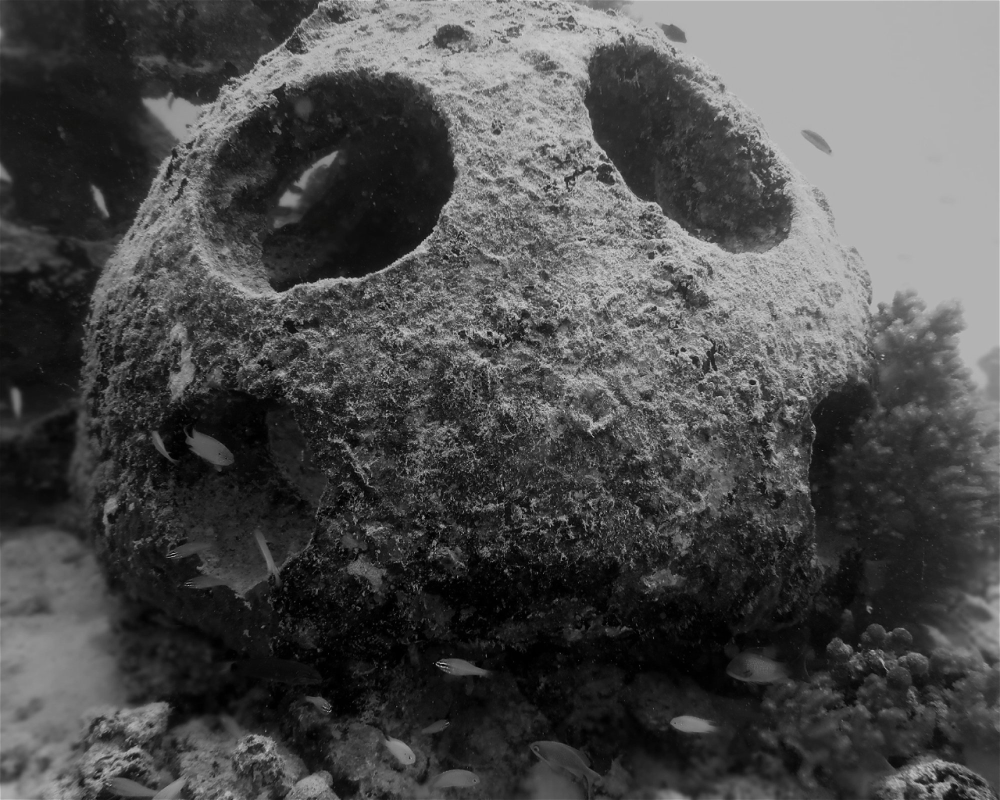 DivePoint Hudhuran Fushi, 20193 Male