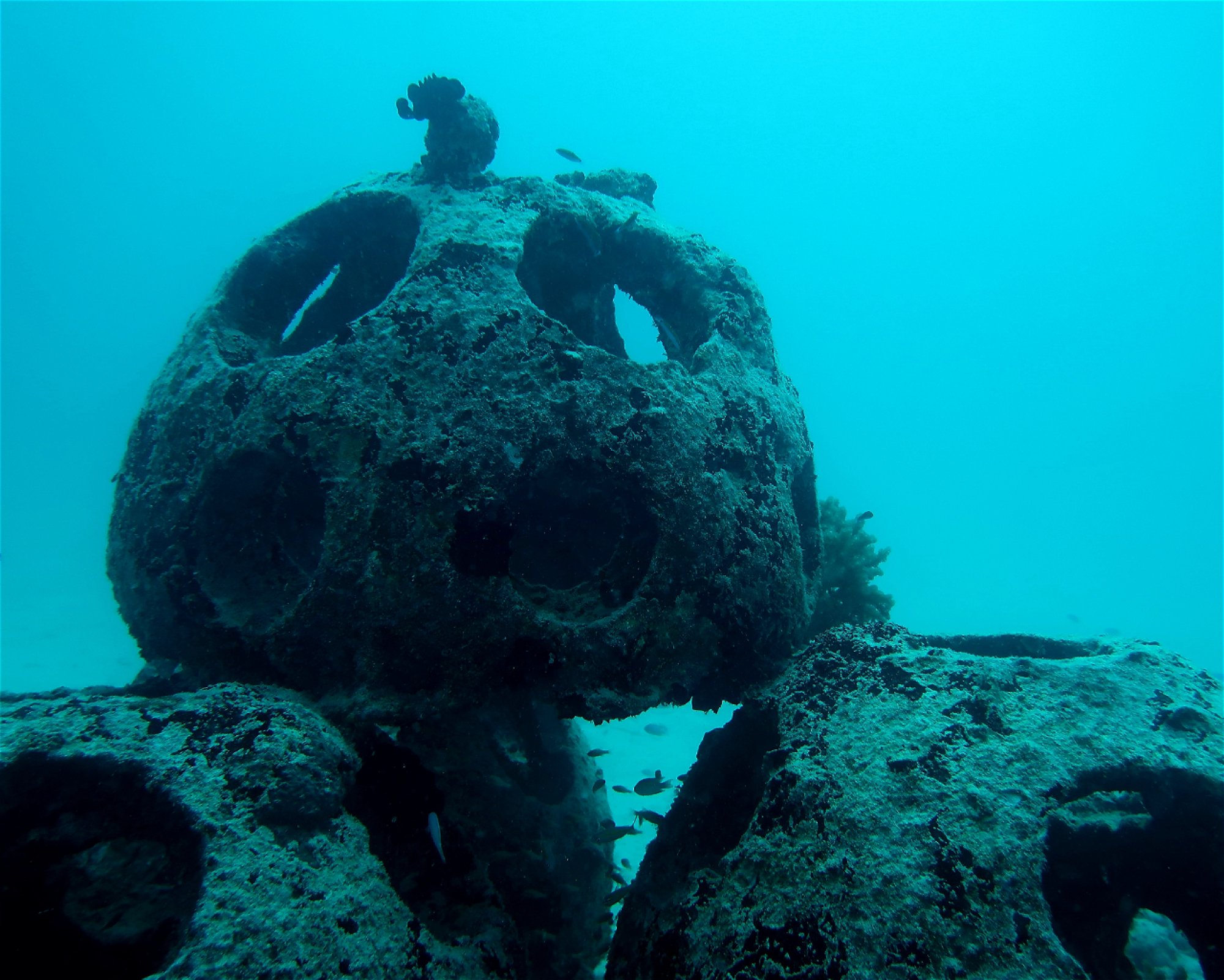 DivePoint Hudhuran Fushi, 20193 Male