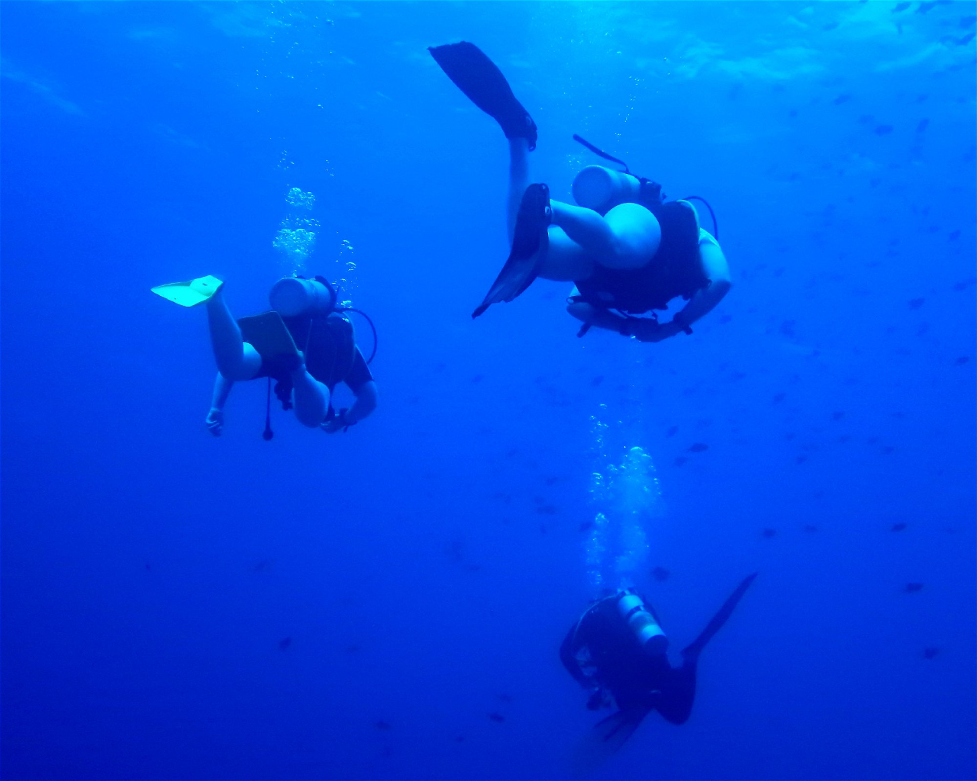 DivePoint Hudhuran Fushi, 20193 Male