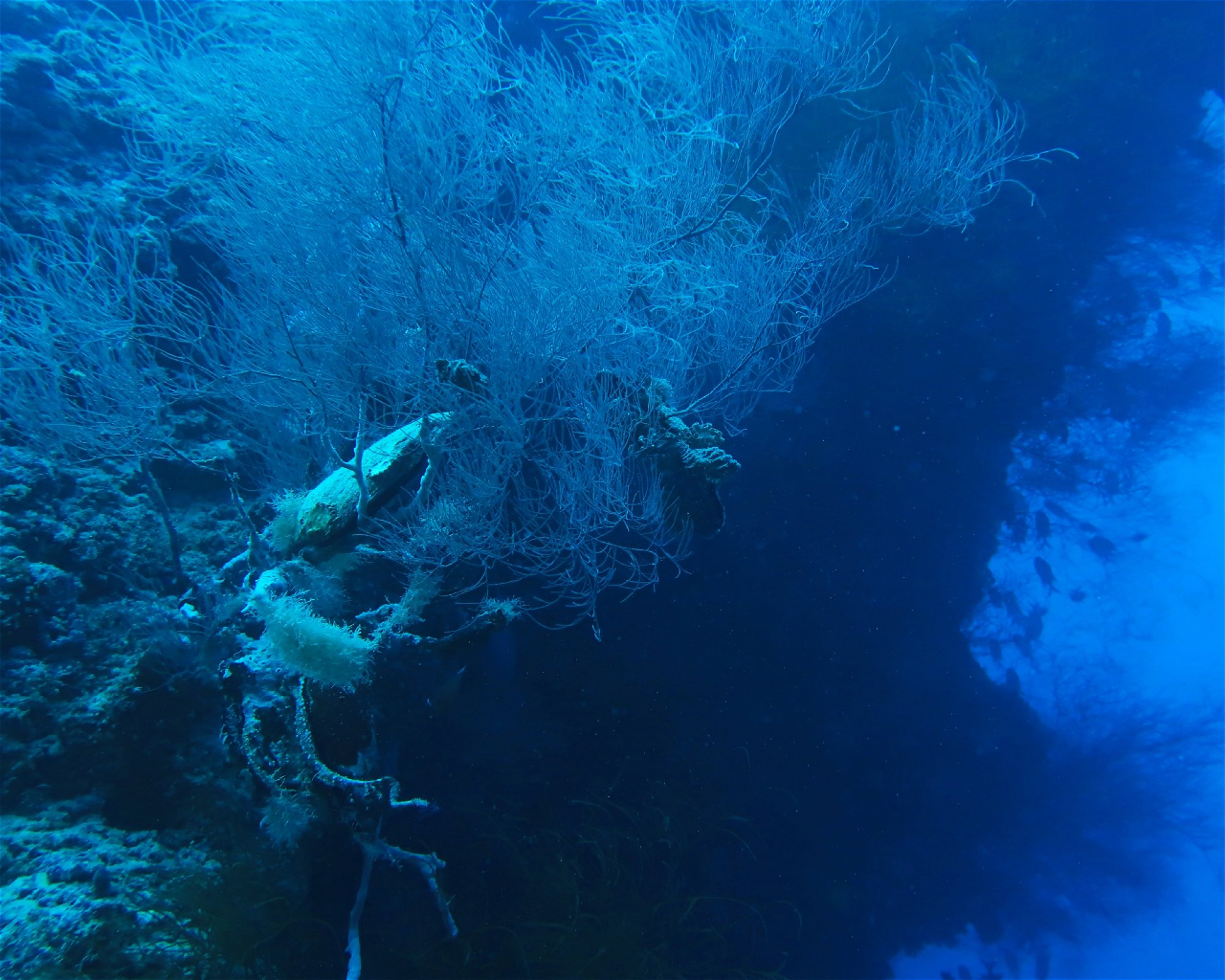 DivePoint Hudhuran Fushi, 20193 Male