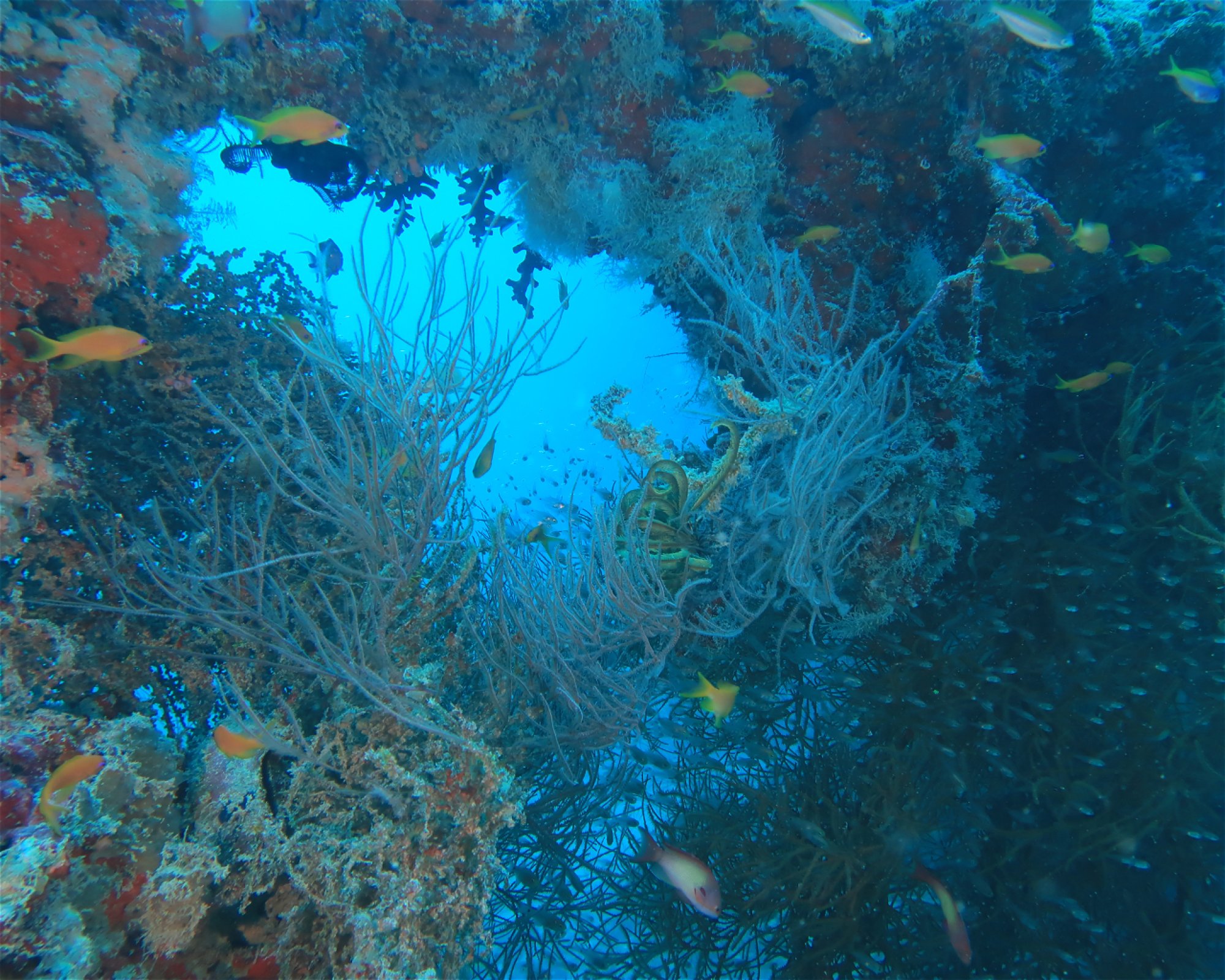 DivePoint Hudhuran Fushi, 20193 Male