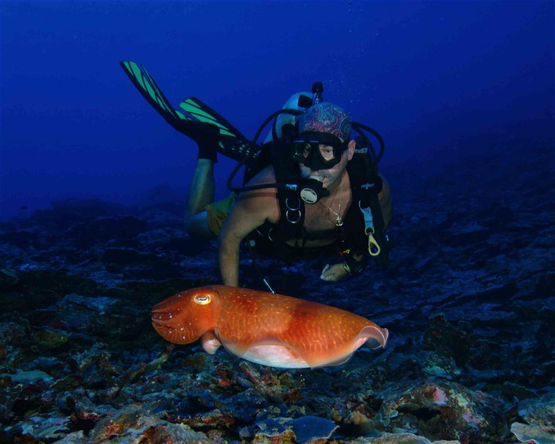 Divesite Image