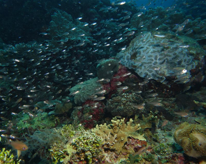 Divesite Image