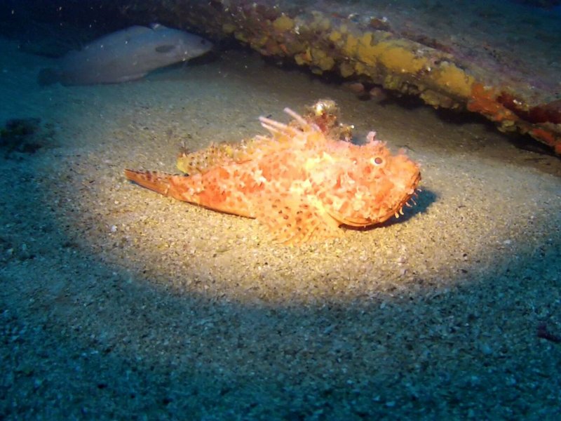 Divesite Image