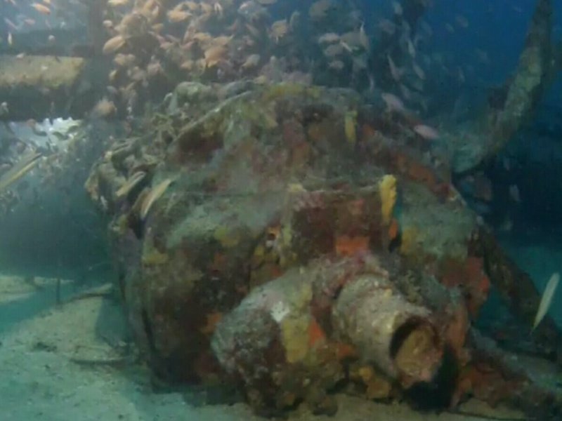 Divesite Image