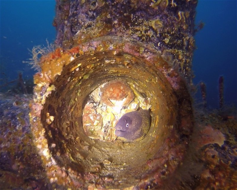 Divesite Image
