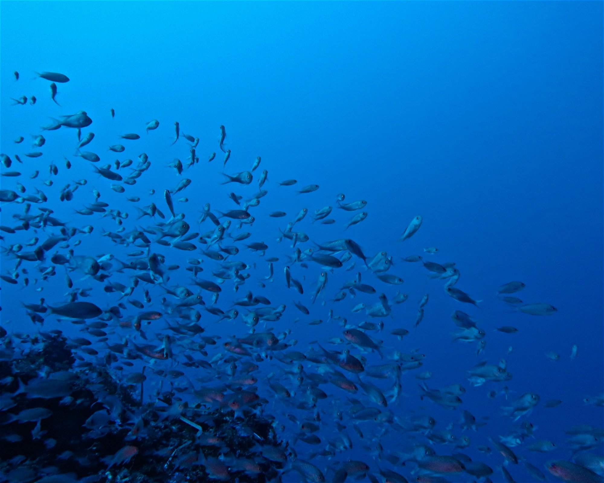 WE SHALL SEA, 84008 AMORGOS