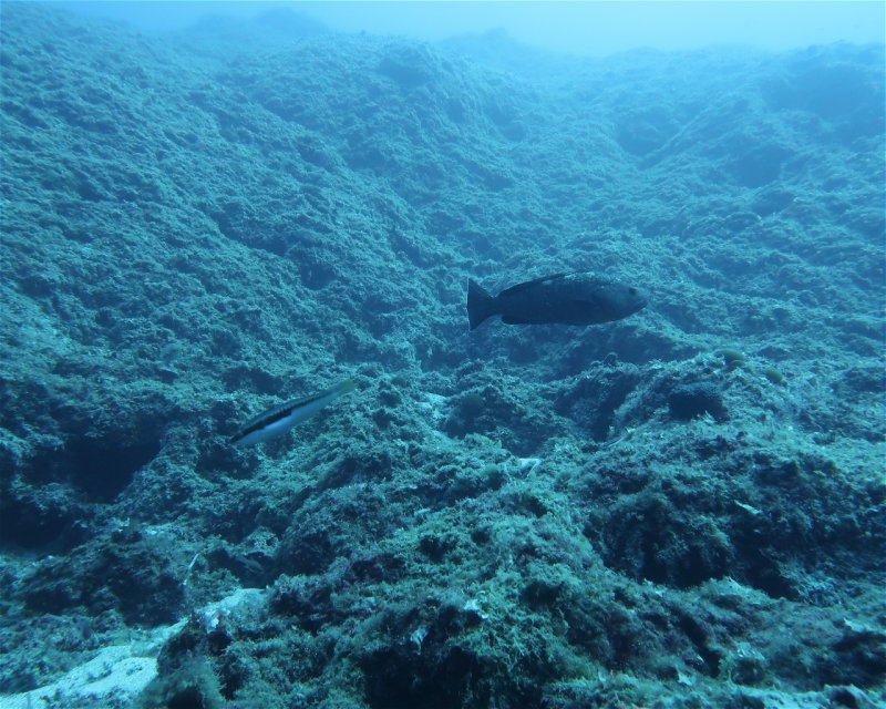 Divesite Image