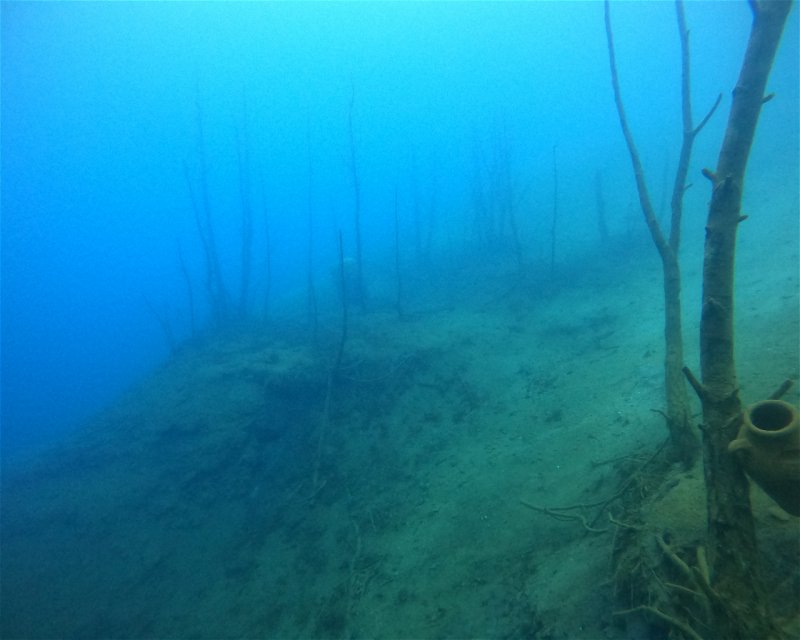 Divesite Image