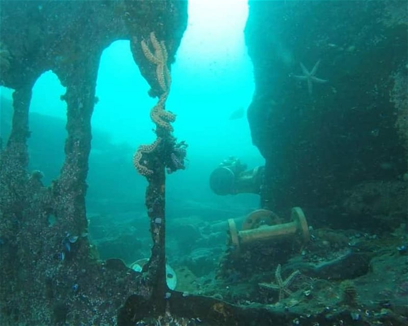 Divesite Image
