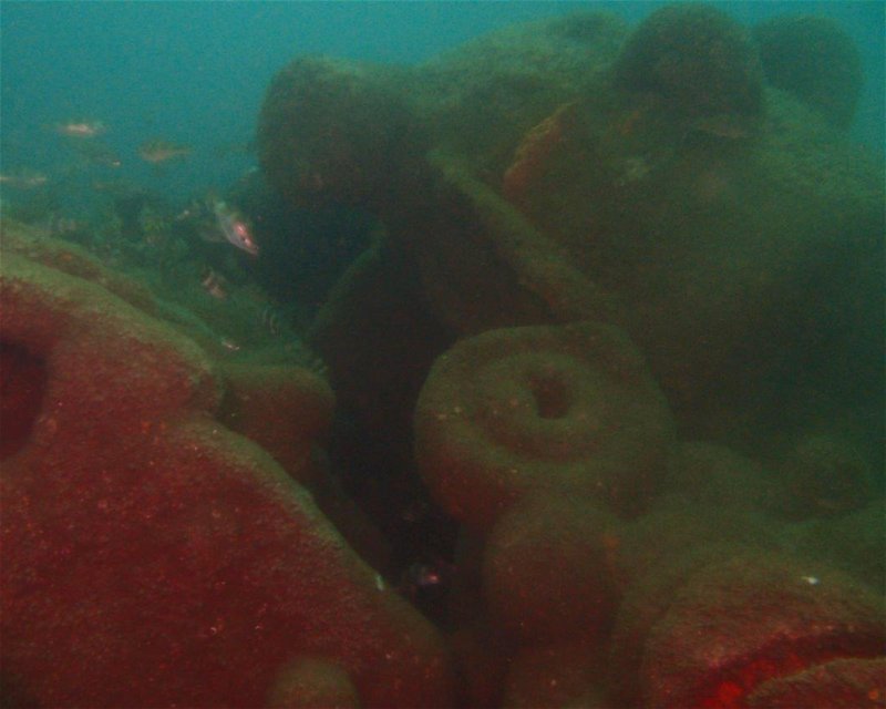 Divesite Image