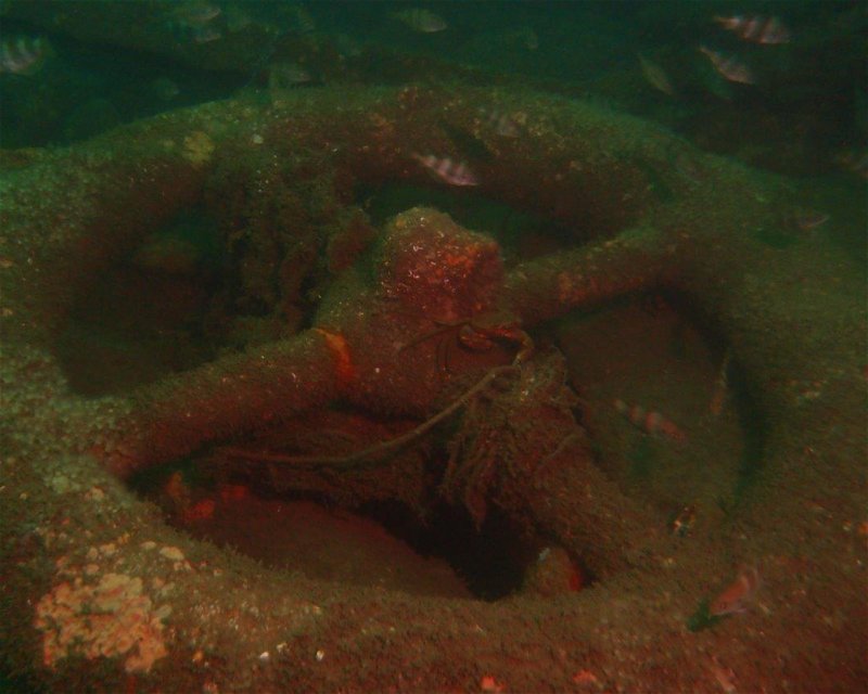Divesite Image
