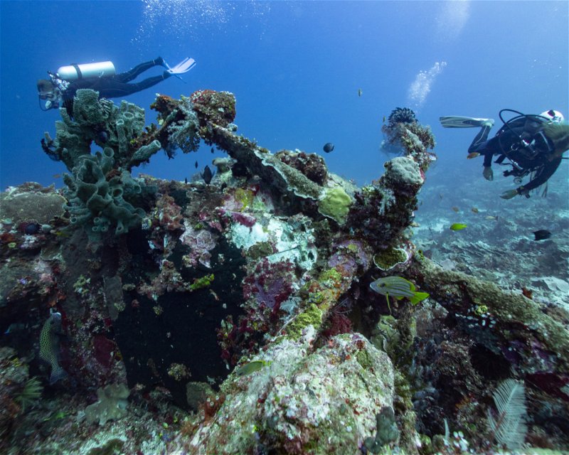 Divesite Image