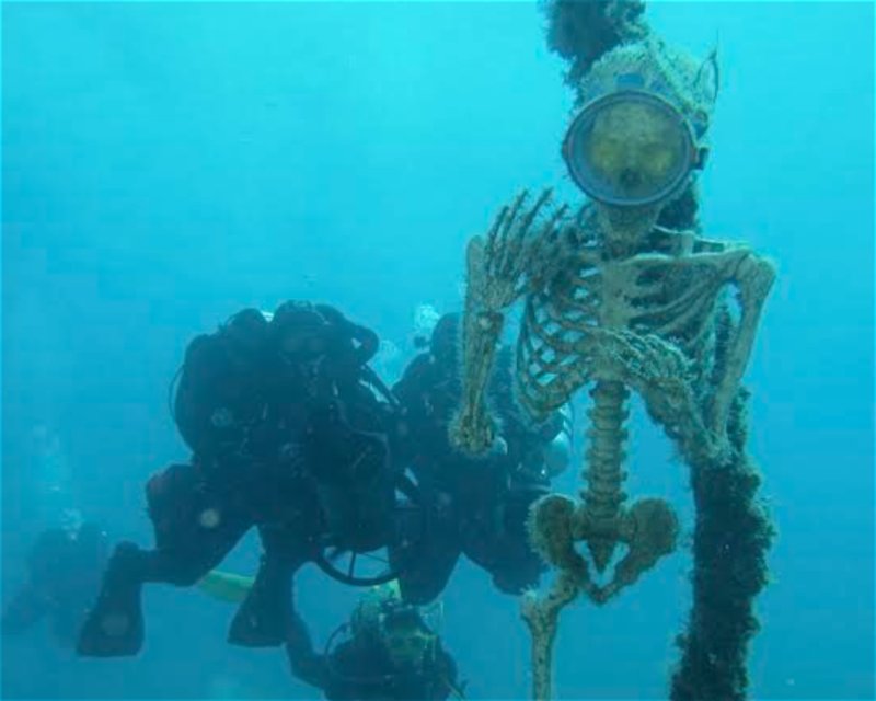 Divesite Image