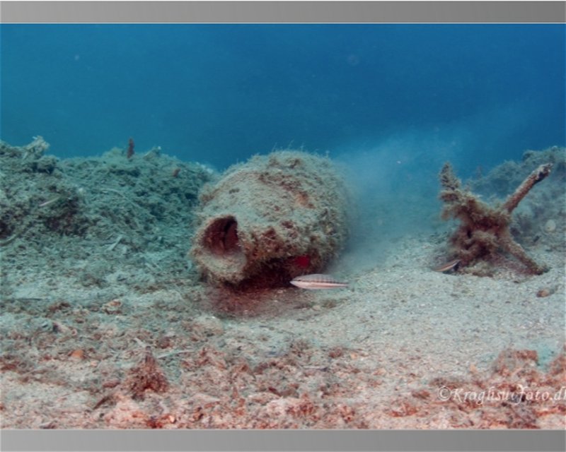 Divesite Image