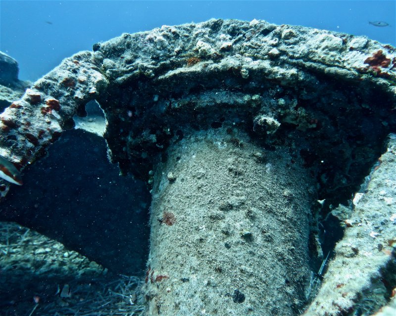 Divesite Image