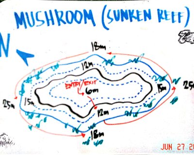 Mushroom (Sunken Reef) <span class="text-color-primary text-sm"> (★4.4)</span>