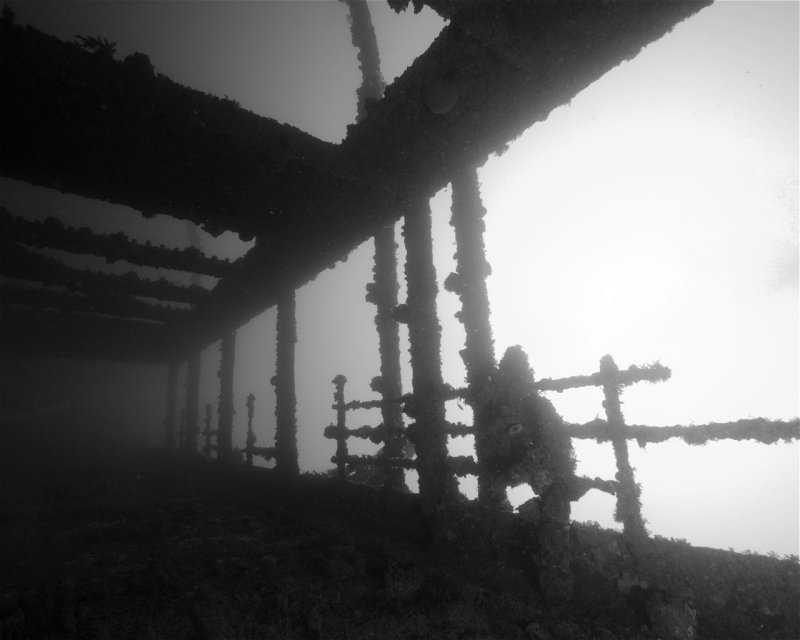 Divesite Image