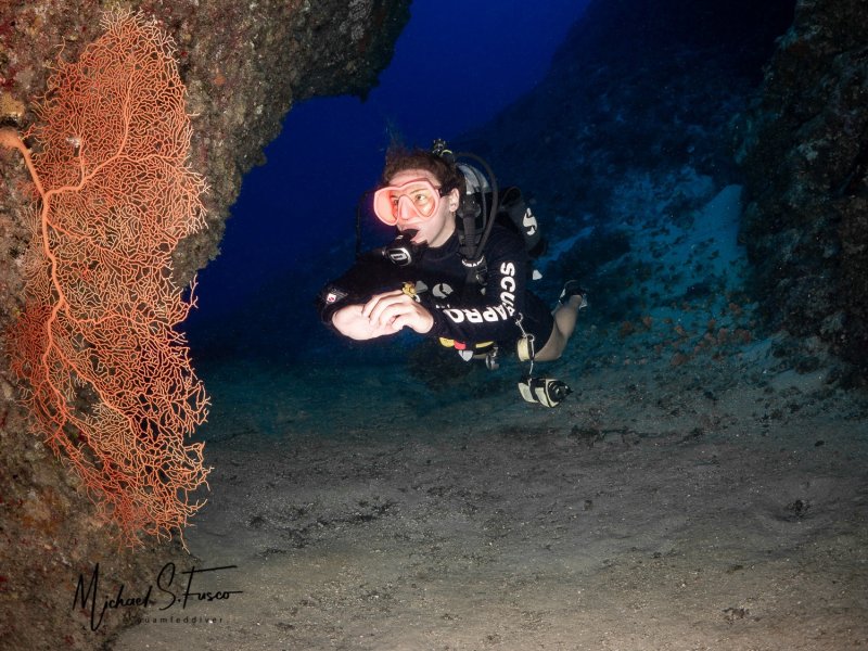 Divesite Image
