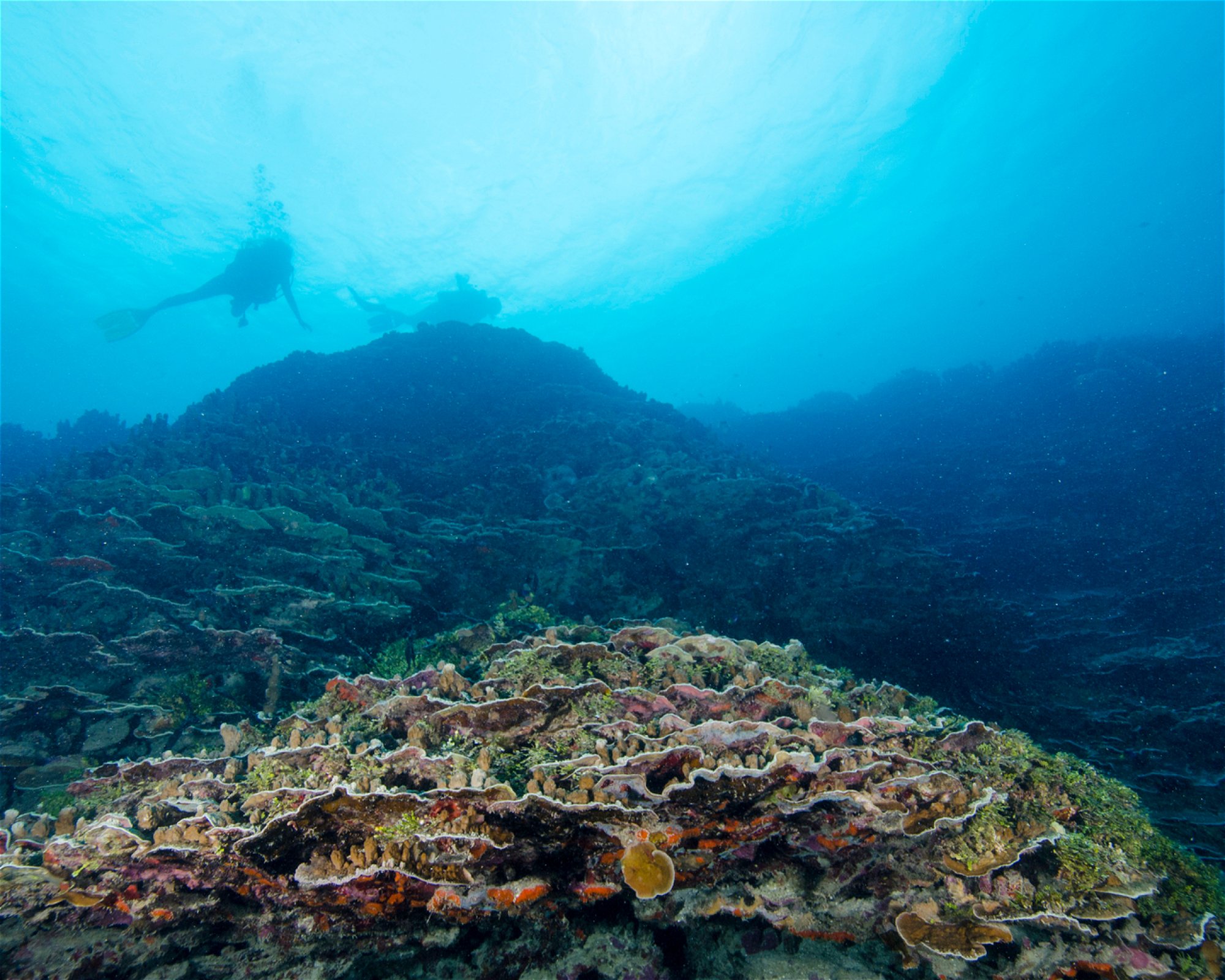 Scuba Guam, 96913 Tamuning