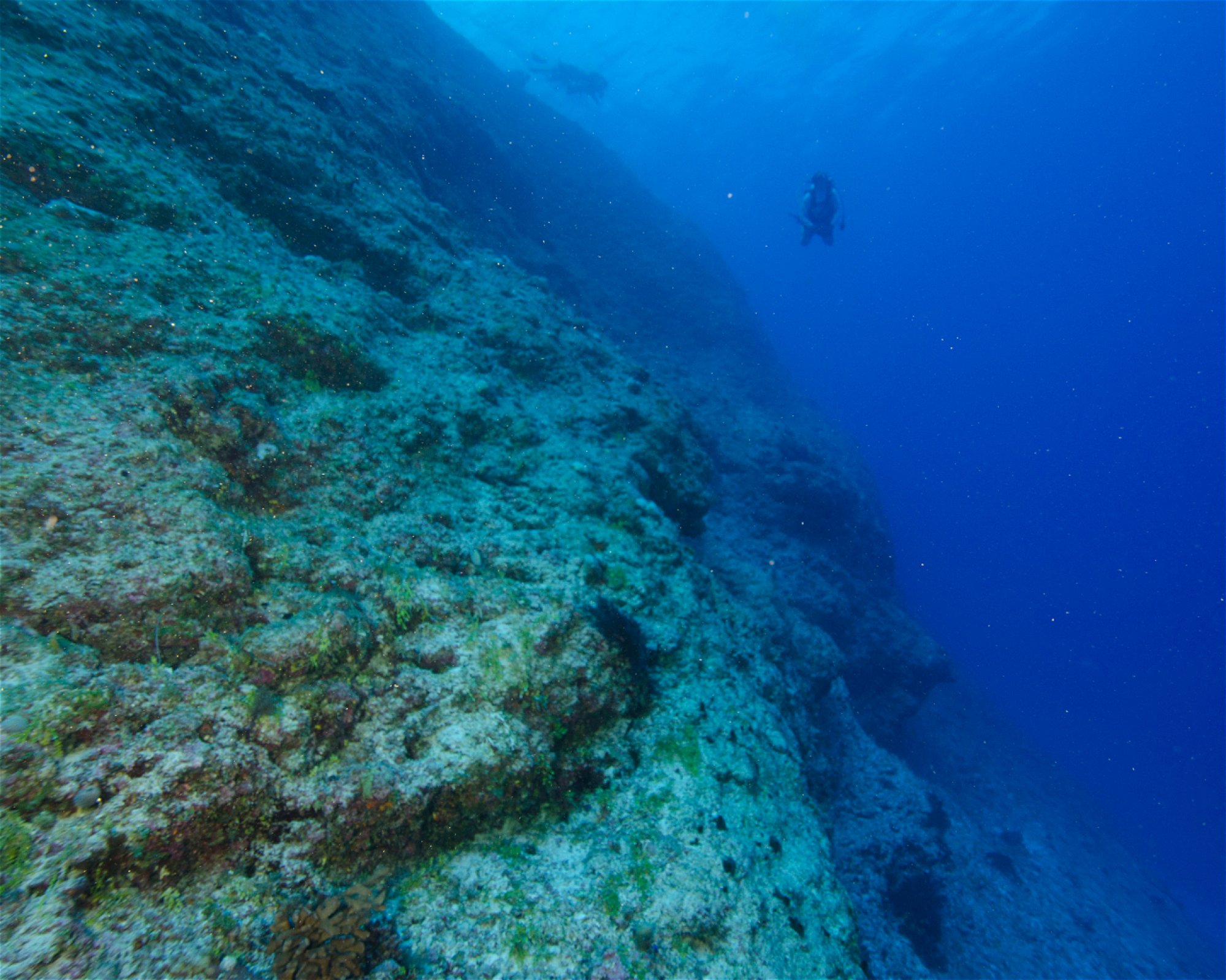 Scuba Guam, 96913 Tamuning