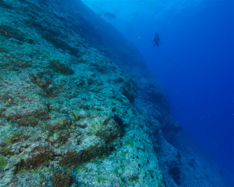 Divesite Image