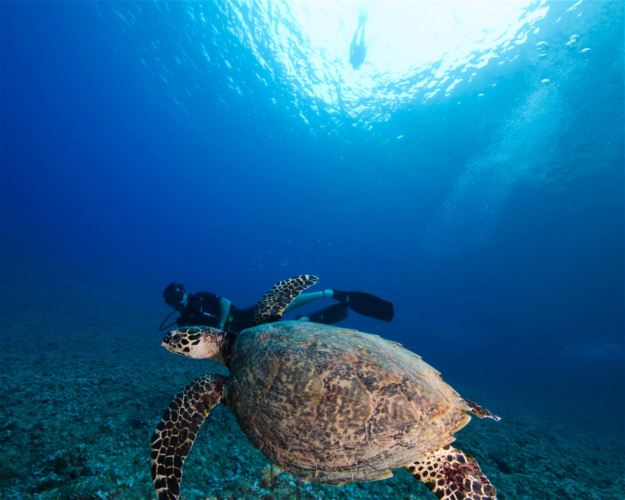 Scuba Guam, 96913 Tamuning