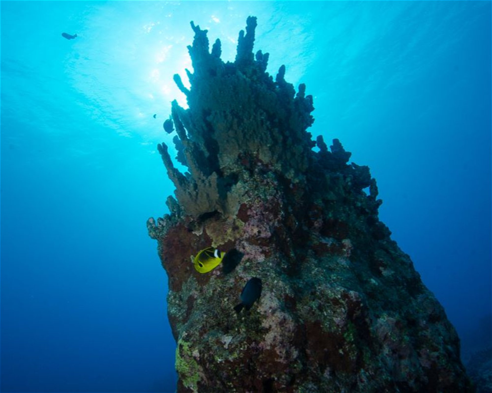 Scuba Guam, 96913 Tamuning