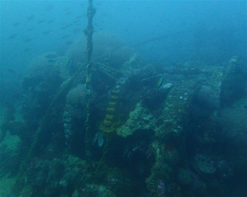 Divesite Image