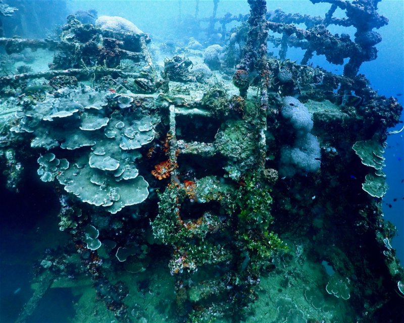 Divesite Image