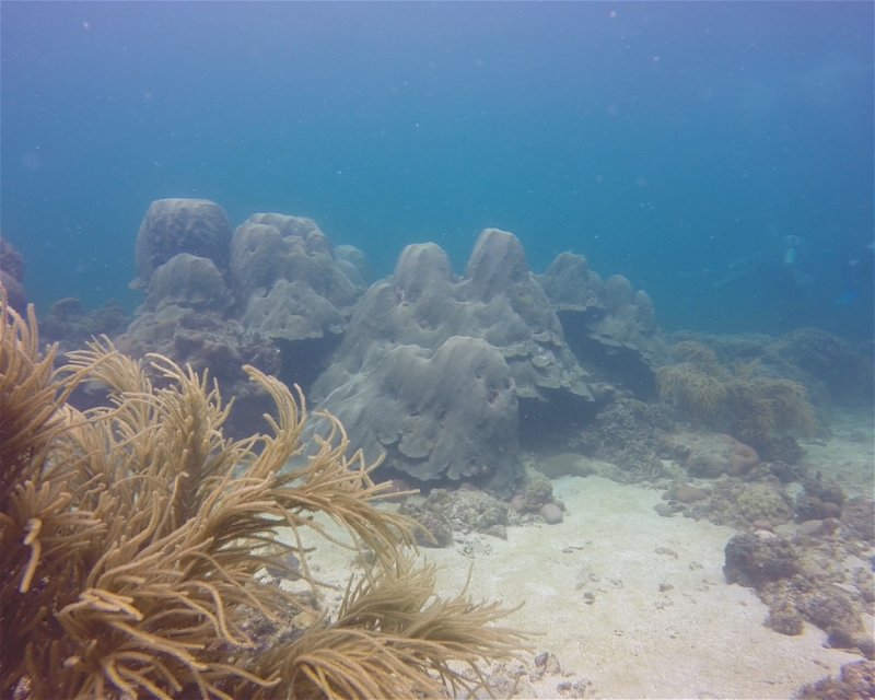 Divesite Image