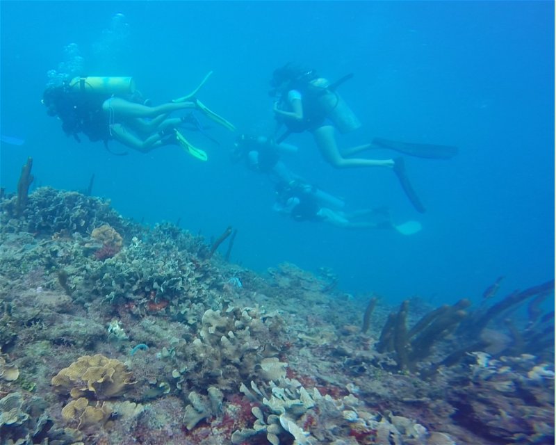 Divesite Image